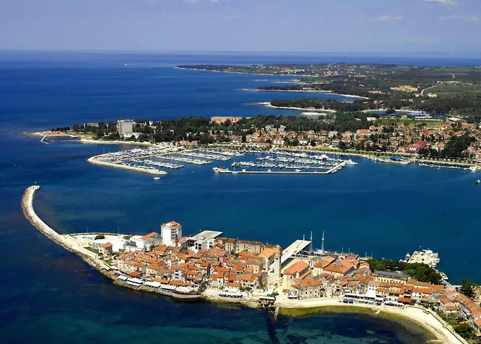 Alpa 7 By Interhome *