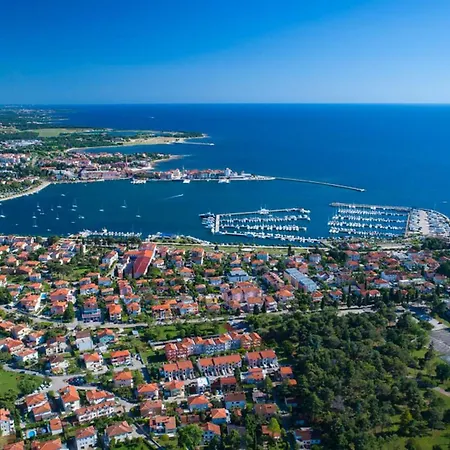 Alpa 7 By Interhome Apartmán