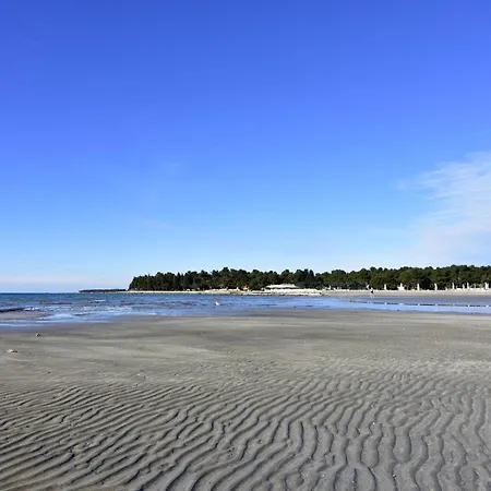 Apartmán Alpa 7 By Interhome *