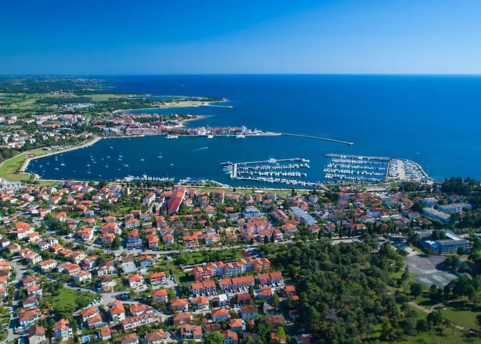 Alpa 7 By Interhome Apartmán