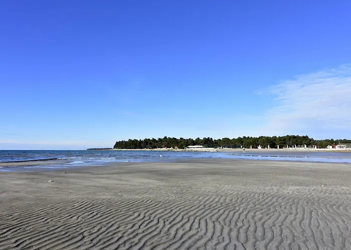 Apartmán Alpa 7 By Interhome *